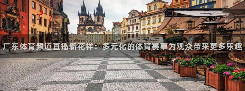 广东体育频道直播新花样：多元化的体育赛事为观众带来更多乐趣
