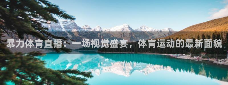 暴力体育直播：一场视觉盛宴，体育运动的最新面貌