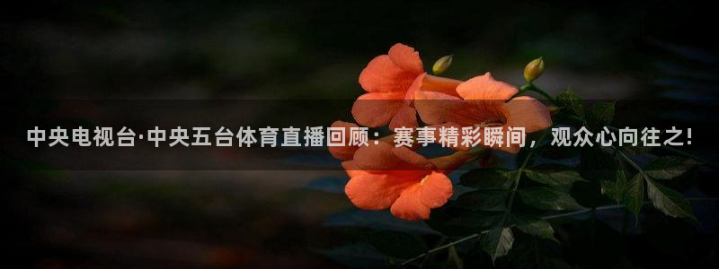 中央电视台·中央五台体育直播回顾：赛事精彩瞬间，观众心向往之!