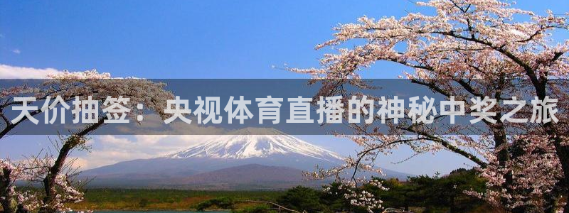 天价抽签：央视体育直播的神秘中奖之旅