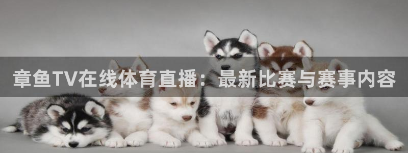 章鱼TV在线体育直播：最新比赛与赛事内容