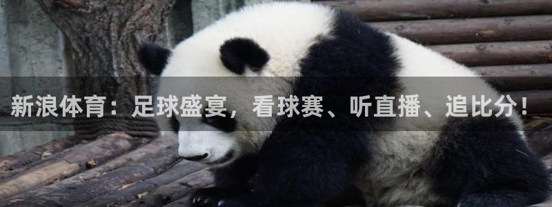 新浪体育：足球盛宴，看球赛、听直播、追比分！