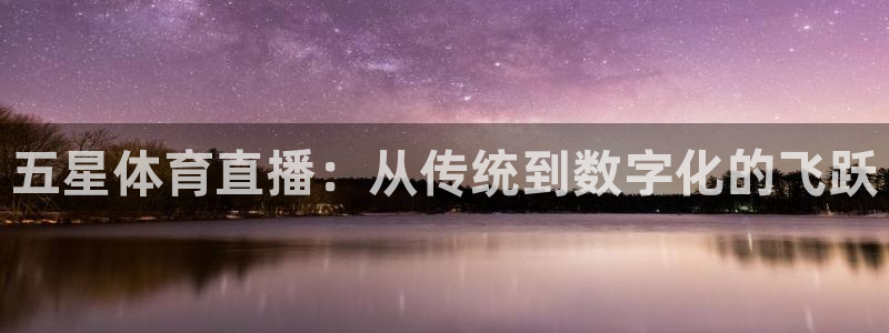 五星体育直播：从传统到数字化的飞跃
