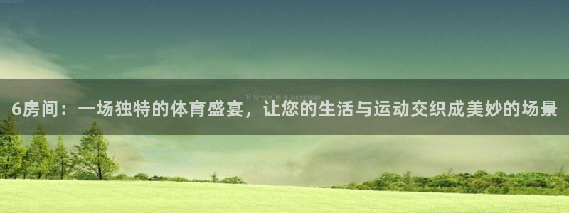 6房间：一场独特的体育盛宴，让您的生活与运动交织成美妙的场景