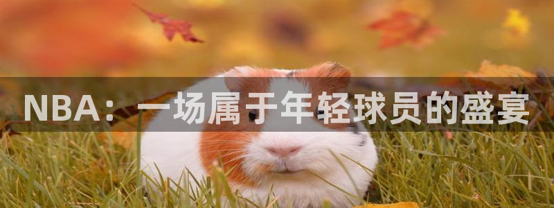NBA：一场属于年轻球员的盛宴
