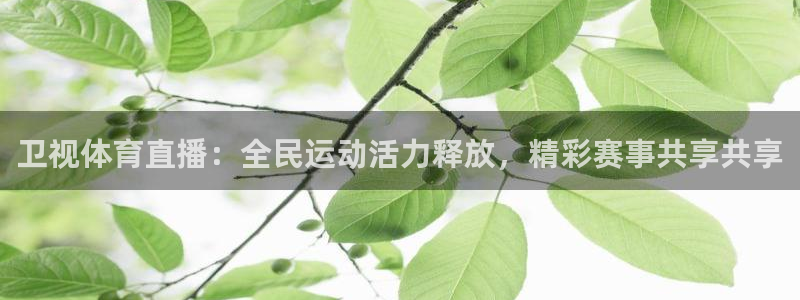 卫视体育直播：全民运动活力释放，精彩赛事共享共享