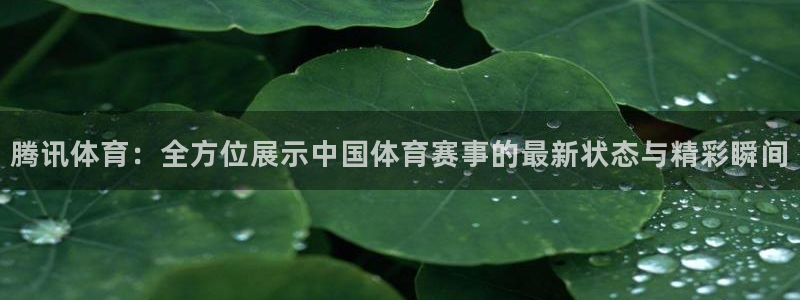 腾讯体育：全方位展示中国体育赛事的最新状态与精彩瞬间