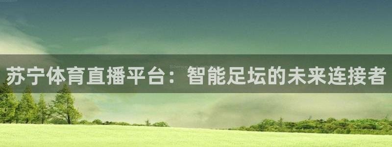 苏宁体育直播平台：智能足坛的未来连接者